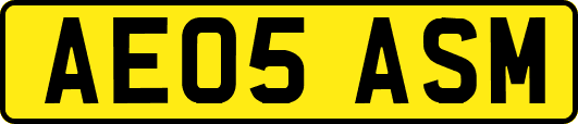 AE05ASM