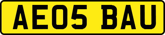 AE05BAU