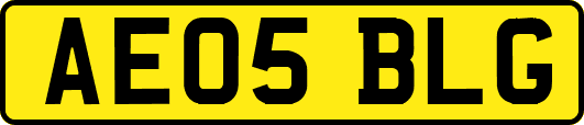 AE05BLG