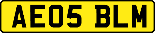 AE05BLM