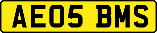 AE05BMS