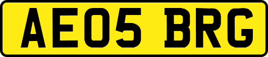 AE05BRG