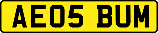 AE05BUM