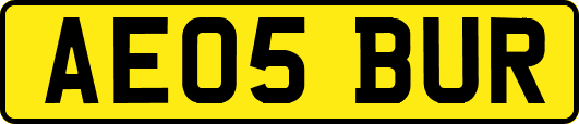 AE05BUR