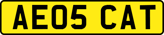 AE05CAT