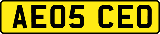 AE05CEO