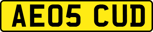 AE05CUD
