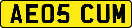 AE05CUM