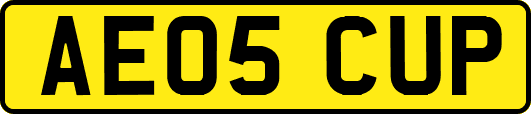 AE05CUP