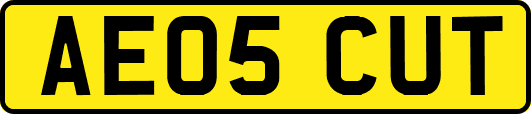 AE05CUT