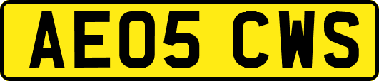 AE05CWS