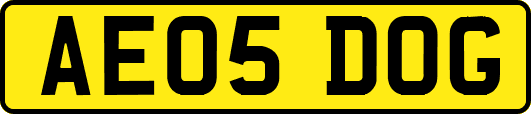 AE05DOG