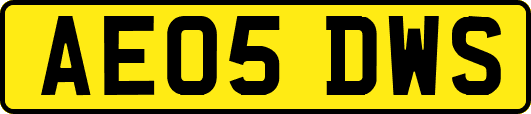 AE05DWS