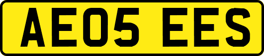 AE05EES