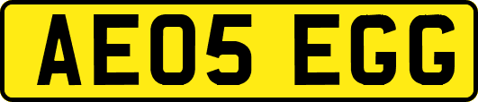 AE05EGG