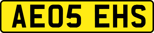 AE05EHS