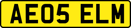 AE05ELM