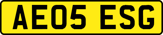 AE05ESG