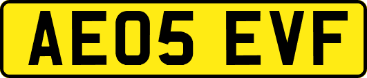 AE05EVF