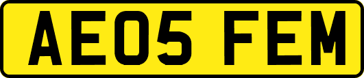 AE05FEM