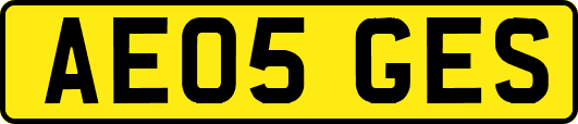 AE05GES