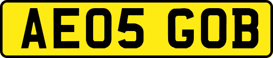 AE05GOB