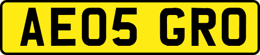 AE05GRO