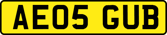 AE05GUB