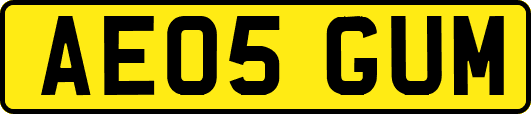 AE05GUM