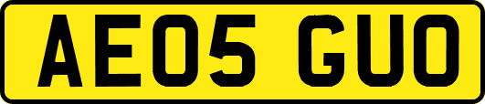 AE05GUO