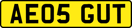 AE05GUT