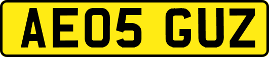 AE05GUZ