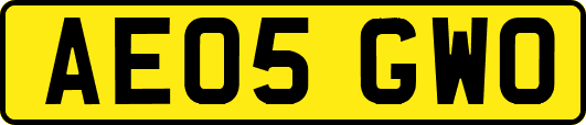 AE05GWO