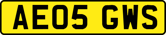 AE05GWS