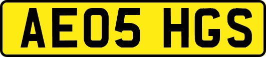 AE05HGS