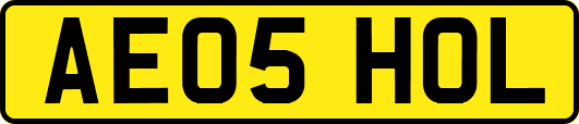 AE05HOL