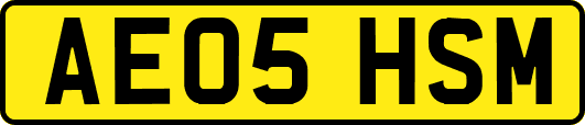 AE05HSM