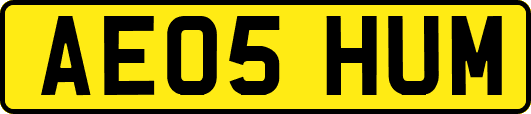 AE05HUM