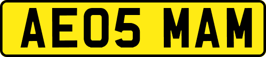AE05MAM