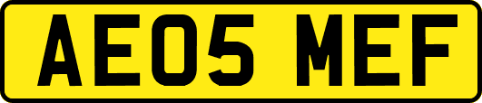 AE05MEF