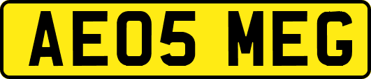 AE05MEG