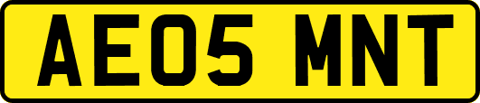 AE05MNT