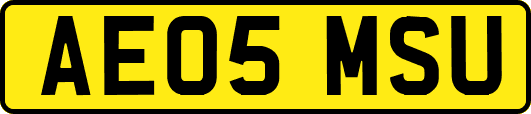 AE05MSU