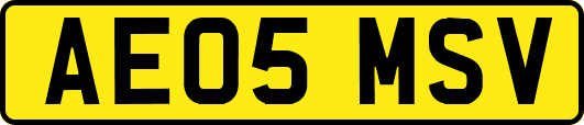AE05MSV