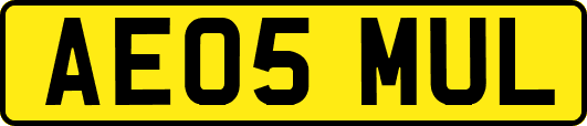 AE05MUL