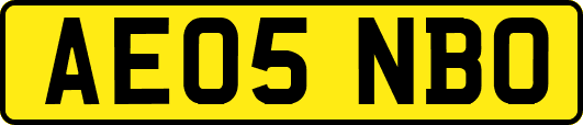 AE05NBO