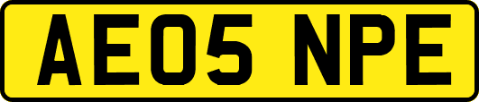 AE05NPE