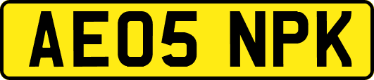 AE05NPK