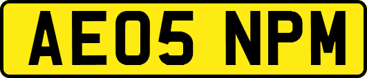 AE05NPM