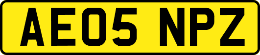 AE05NPZ